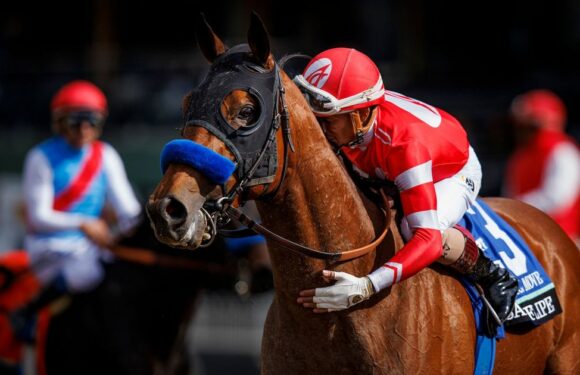 Breeders’ Cup horse racing favourite dies of ‘heart attack’ in front of fans