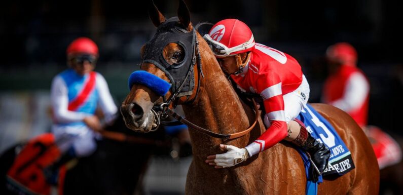 Breeders’ Cup horse racing favourite dies of ‘heart attack’ in front of fans