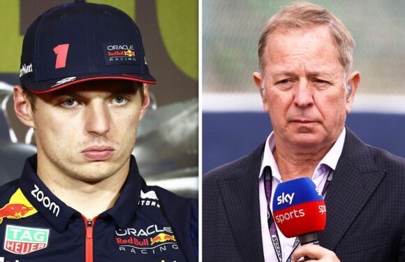 Brundle offers honest advice to Verstappen as he’s left perplexed by reaction