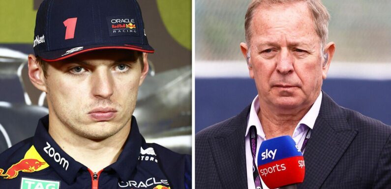 Brundle offers honest advice to Verstappen as he’s left perplexed by reaction