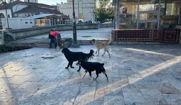 CRAIG HOPE'S POSTCARD FROM SKOPJE
