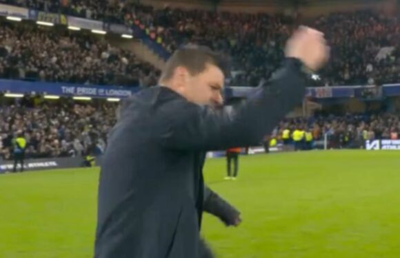 Chelsea boss Mauricio Pochettino goes berserk at ref after epic Man City draw
