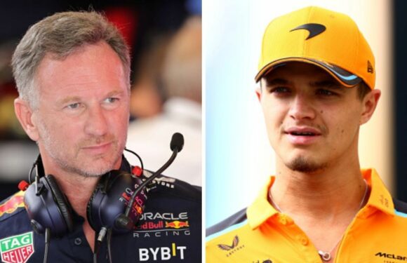 Christian Horner has already dropped Lando Norris hint with Hamilton comment