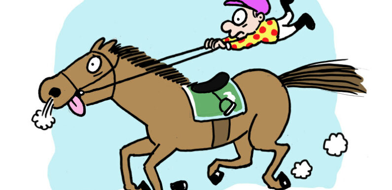 Got the blows? Your Melbourne Cup guide to the language of racing