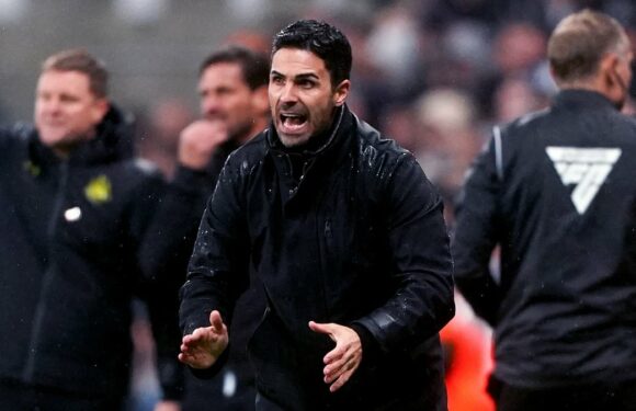 HOLT: Bosses like Mikel Arteta throw grassroots refs under the bus