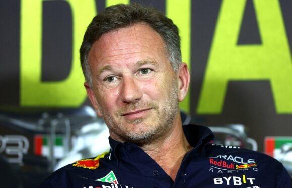 Horner says he can't blame Hamilton for considering F1 future