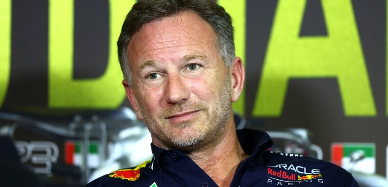 Horner says he can't blame Hamilton for considering F1 future