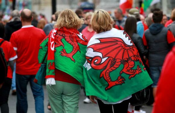 Incoming Welsh Rugby Union boss vows to ‘turn this round’ after damning review