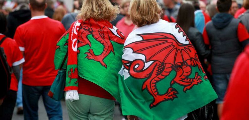Incoming Welsh Rugby Union boss vows to ‘turn this round’ after damning review