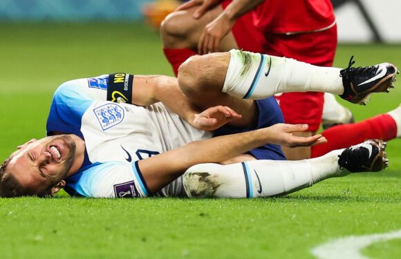 International footballers at breaking point, says PFA chief