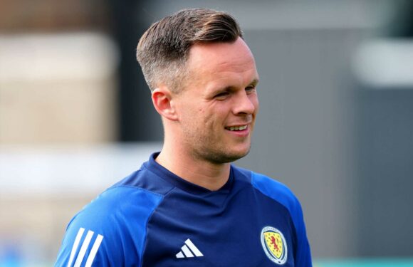 John Carver urges Lawrence Shankland to make the most of late Scotland call-up