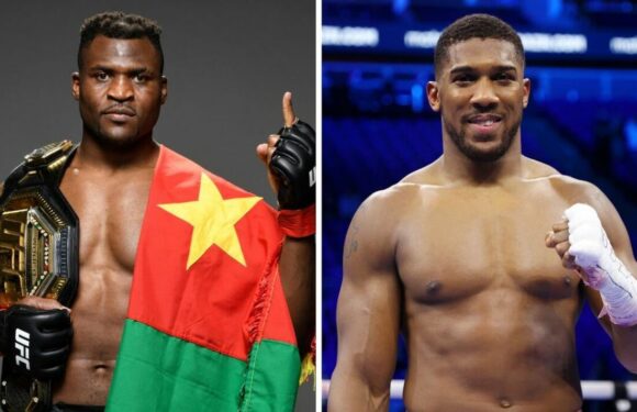 Joshua learns chances of Ngannou bout as MMA star lifts lid on next fight