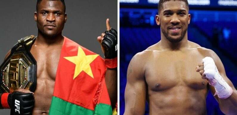 Joshua learns chances of Ngannou bout as MMA star lifts lid on next fight