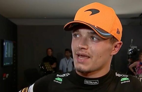 Lando Norris calls out ‘careless’ Sergio Perez after Abu Dhabi GP penalty