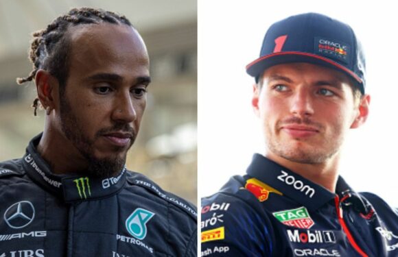 Lewis Hamilton shows true colours as Max Verstappen shares hope for Mercedes ace