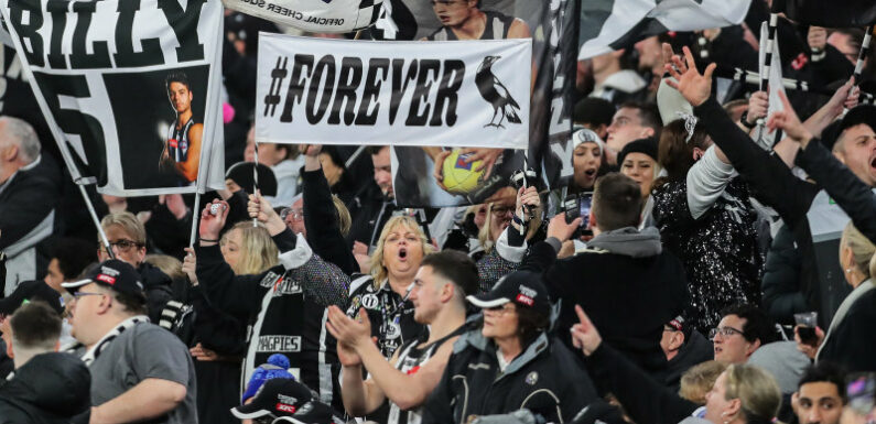 Magpie millions: Collingwood scores $6m premiership-year profit