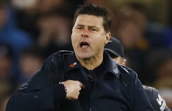 Mauricio Pochettino behaved like a yob, says Ian Ladyman