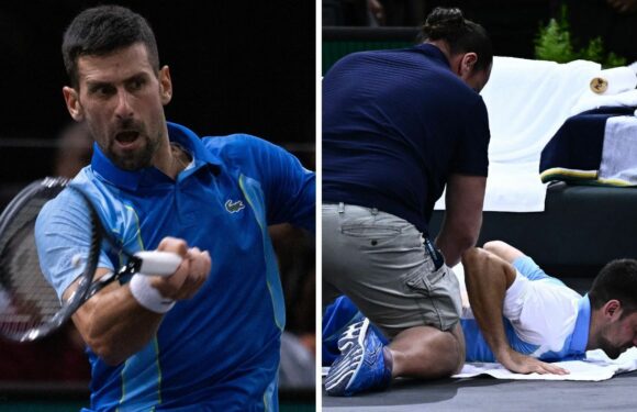 Novak Djokovic provides telling update on his fitness ahead of Paris final