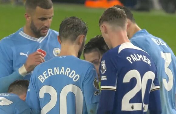 Palmer reveals how ex-City team-mates reacted to joining their huddle