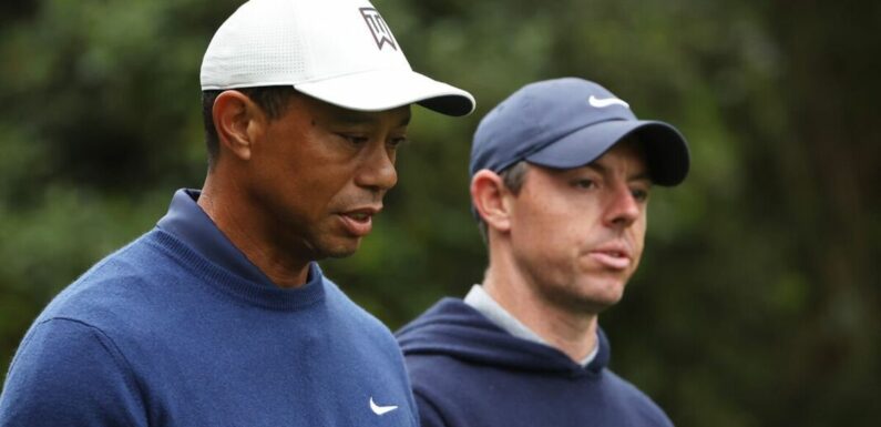 Tiger Woods and Rory McIlroy suffer nightmare after TGL Venue roof collapse