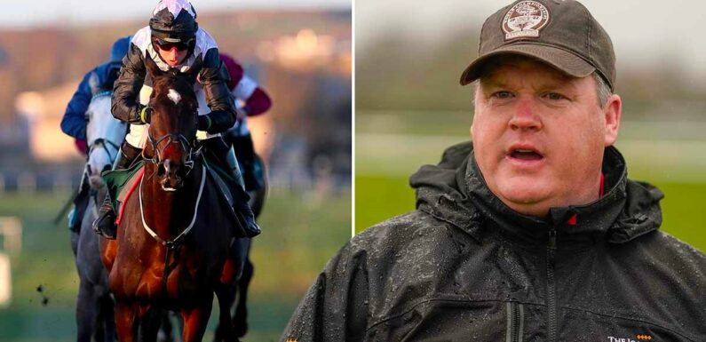 Tipster who landed 50-1 NAP picks 10 horses to follow for National Hunt season