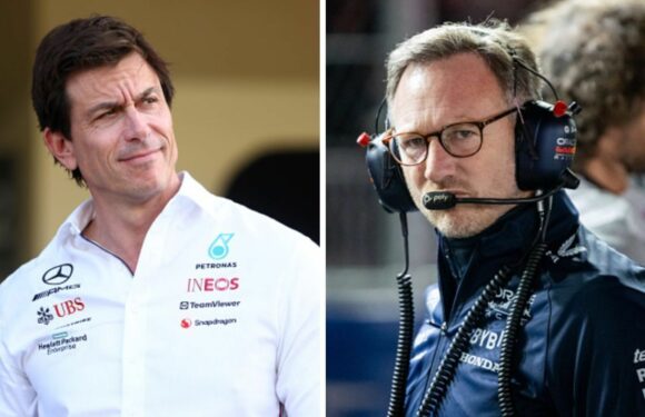 Toto Wolff tears into Christian Horner as Mercedes boss backs up Hamilton story