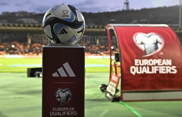 Wales fans’ fury as 32 are arrested in Armenia before Euro 24 qualifier