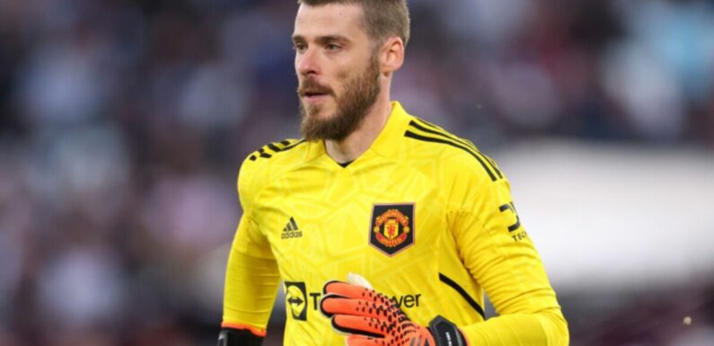 De Gea’s stance on joining Newcastle as Magpies in dire need of ex-Man Utd star