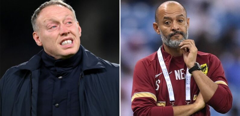 Forest sack Steve Cooper after one win in 13 and turn to Nuno Espirito Santo