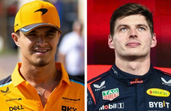 Lando Norris fires warning to Max Verstappen with McLaren star excited for 2024
