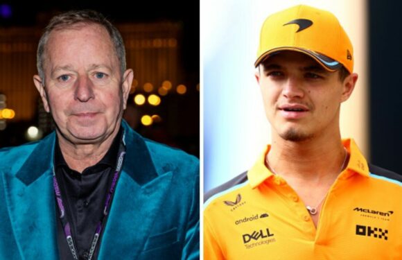 Norris given advice from Brundle as McLaren warned he may ‘have to walk away’