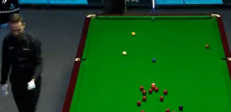 Snooker final interrupted as referee incredibly catches fly buzzing around table